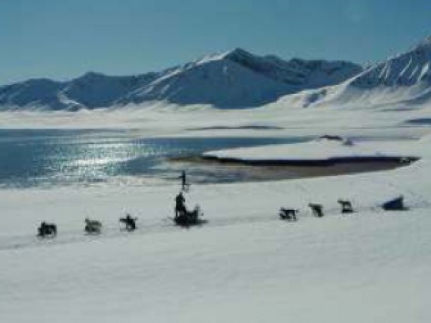 Dog Sledding