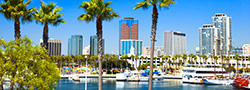 Los Angeles Skyline from Harbor