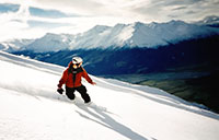 Powder Pursuits Skiing