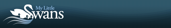MLS Logo and Footer Image