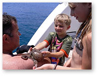 Find the best local guides.