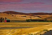 Palouse Havest by Laura Vu