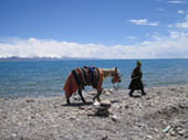 Boy at Nam Tso by Matt Sims