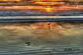 San Diego Sunset by Elizabeth Morris