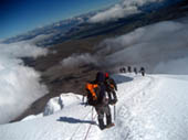 Long Way Down by Tom Parnell