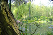 Monet’s Garden by Randolph Kerr