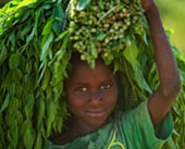 Young boy in fields by Michele Zousmer