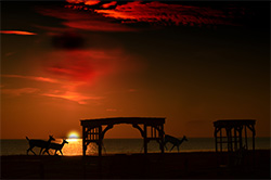 Photo Contest Winner Gerald Boudreau — Sunset at Sand Point, Caseville, Michigan