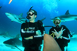 Photo Contest Winner Grant Olsen - Feeding Frenzy, New Providence, Bahamas