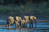 Crossing the Sand River by Doug Croft