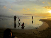 Hunting for Seashells at Sunset by Florence Rolando